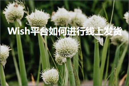 高端网站优化推广比较好的公司 跨境电商知识:Wish平台如何进行线上发货